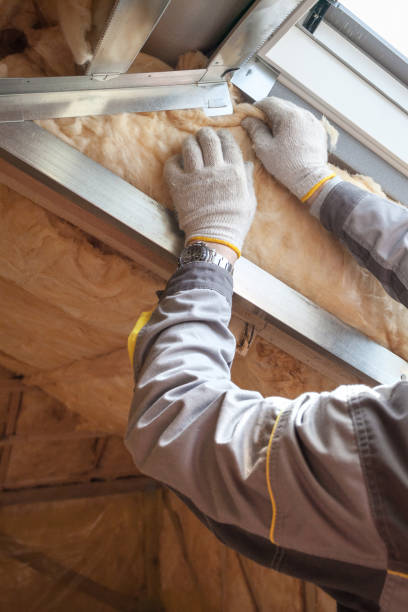 Best Specialized Insulation Services in Weston Lakes, TX