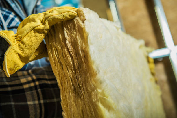 Professional Insulation Contractor in Weston Lakes, TX
