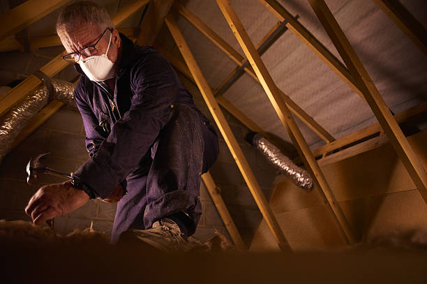 Best Insulation Maintenance and Repair in Weston Lakes, TX